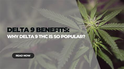 12+ Weed Hacks To Unlock Delta 9 Benefits